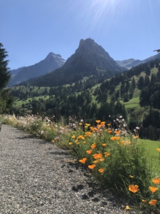 Breathwork-Retreat Kiental im Garten